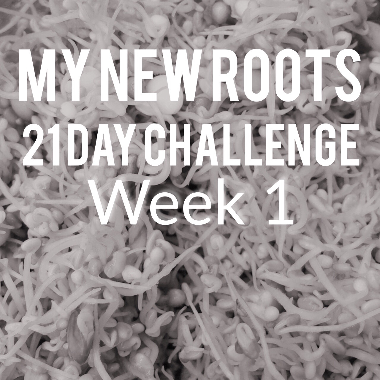 My New Roots 21 Day Challenge – Week 1 Guide