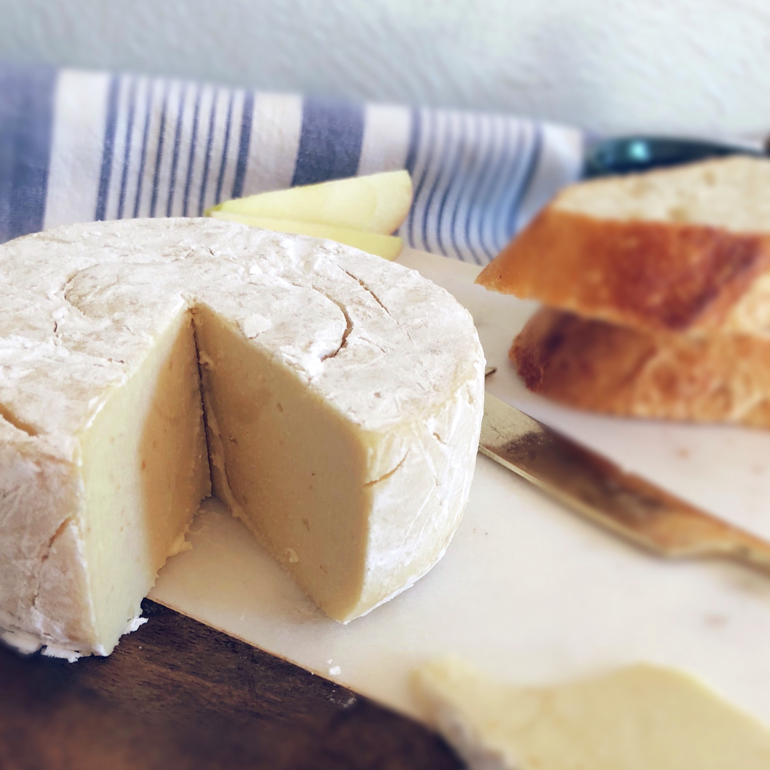 Chronicles of a vegan cheese making challenge